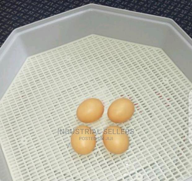 Modified Manual 60 Egg Incubator