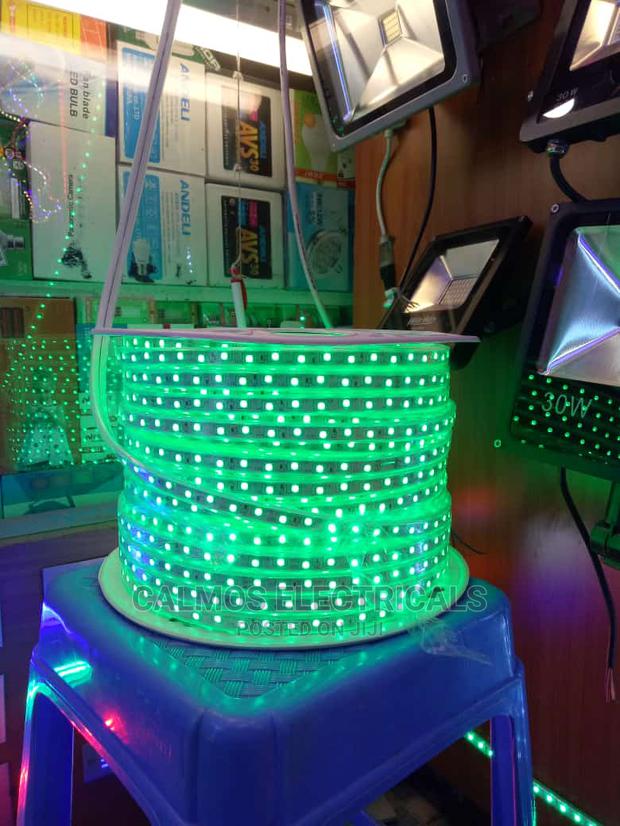 Led Snake Lights - thumbnail 2