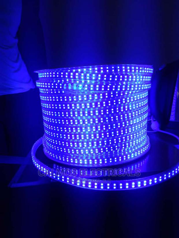 Led Snake Lights - main view