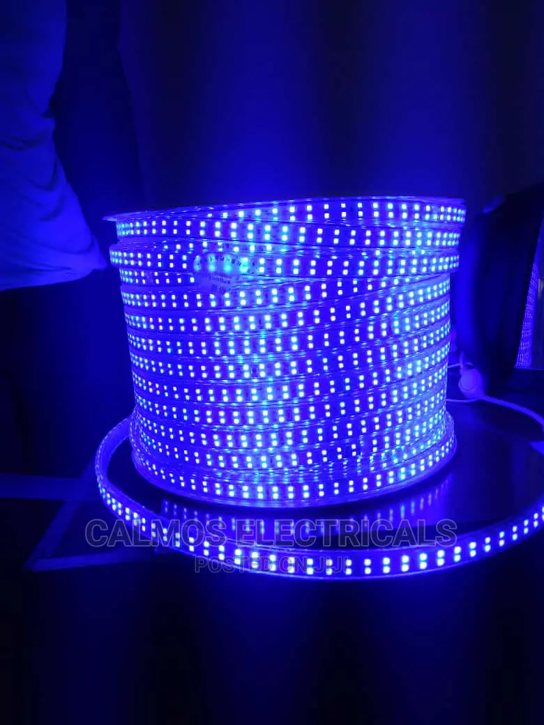 Led Snake Lights