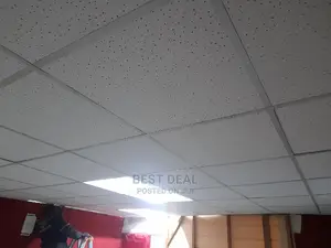 Acoustic Ceiling Repair