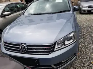 Volkswagen Passat 2014 Blue