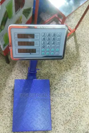 Multiple Function 100kgs Scale