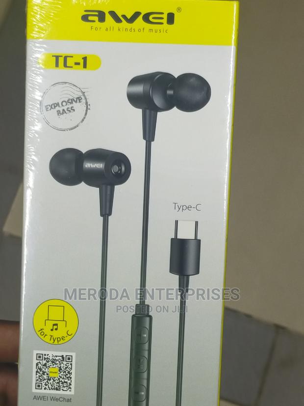 Awei Usb C Earphones - main view