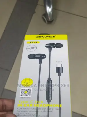 Type C in Ear Earphones