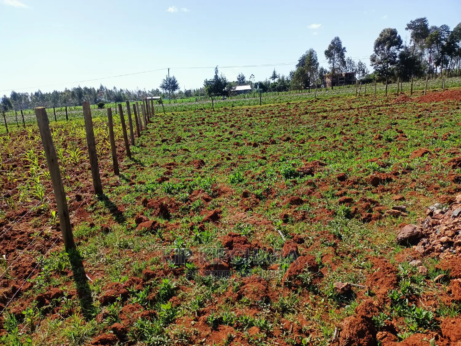 1⁄4 Plot for Sale in Chepkanga Lelit Eldoret