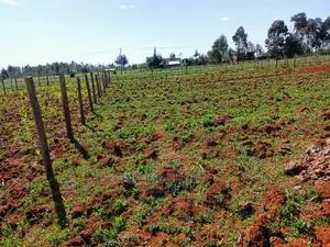 1⁄4 Plot for Sale in Chepkanga Lelit Eldoret
