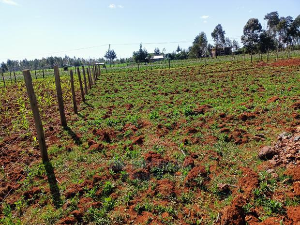 1⁄4 Plot for Sale in Chepkanga Lelit Eldoret - main view