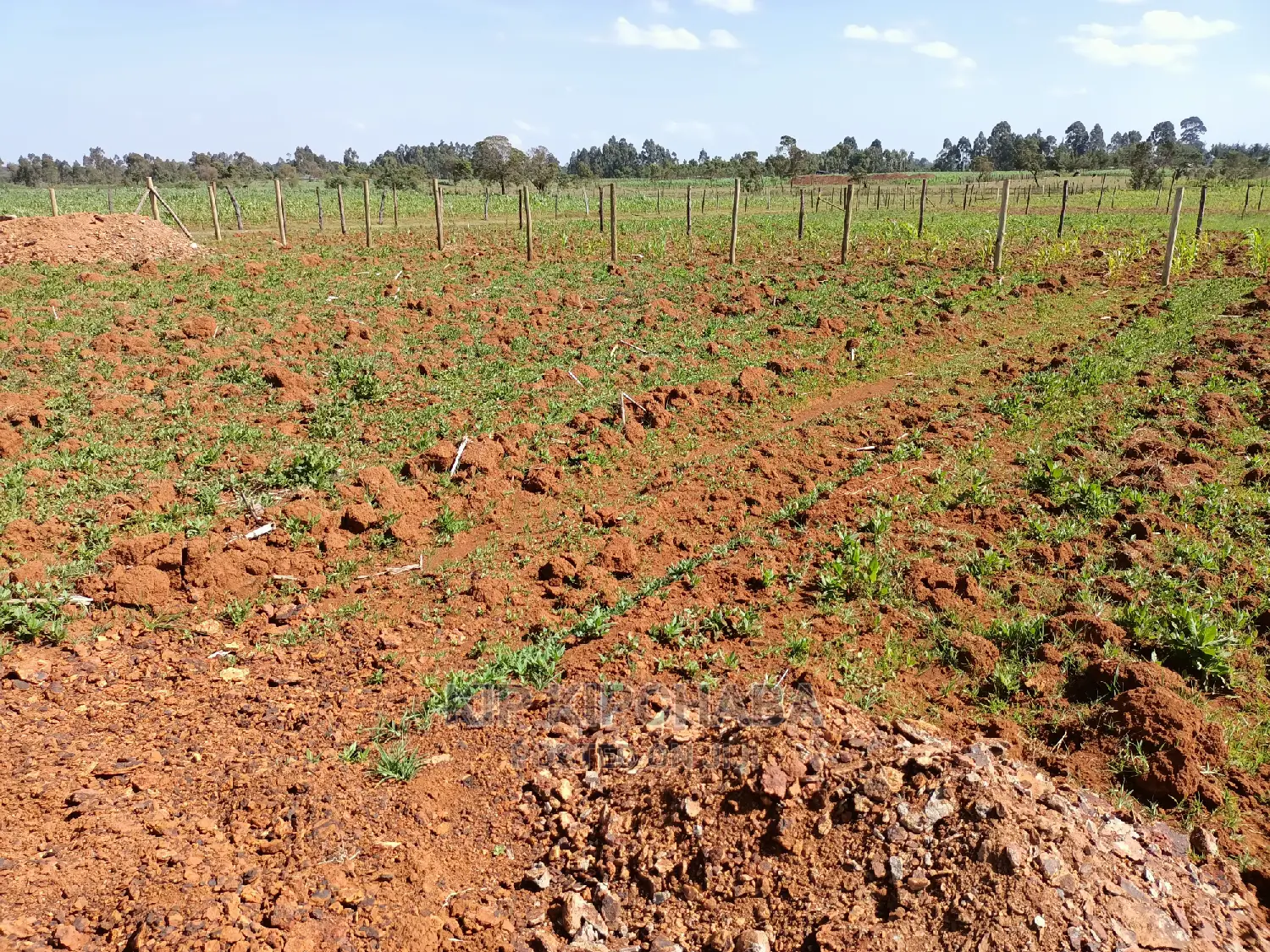 1⁄4 Plot for Sale in Chepkanga Lelit Eldoret