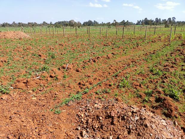 1⁄4 Plot for Sale in Chepkanga Lelit Eldoret - thumbnail 3