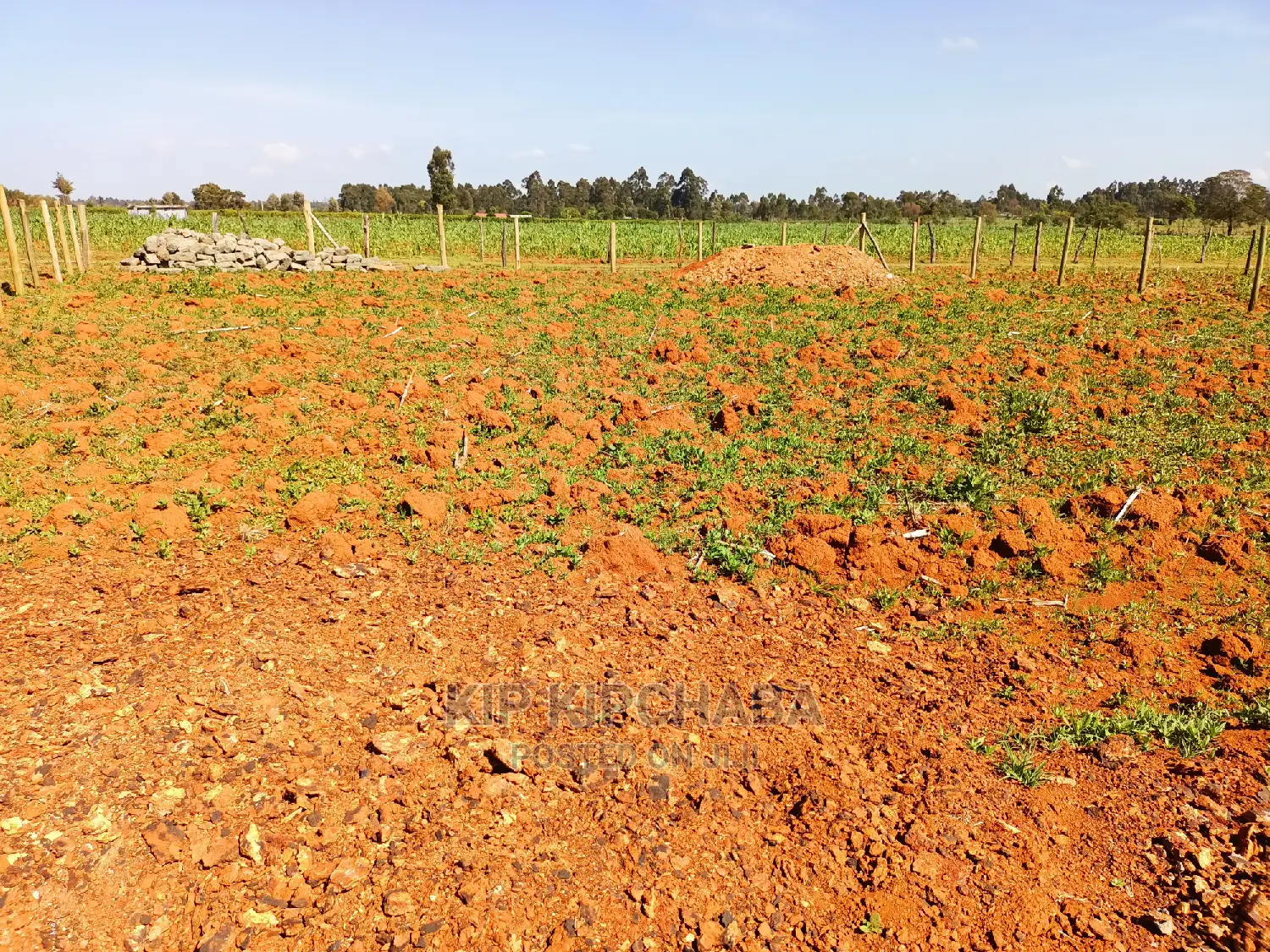 1⁄4 Plot for Sale in Chepkanga Lelit Eldoret