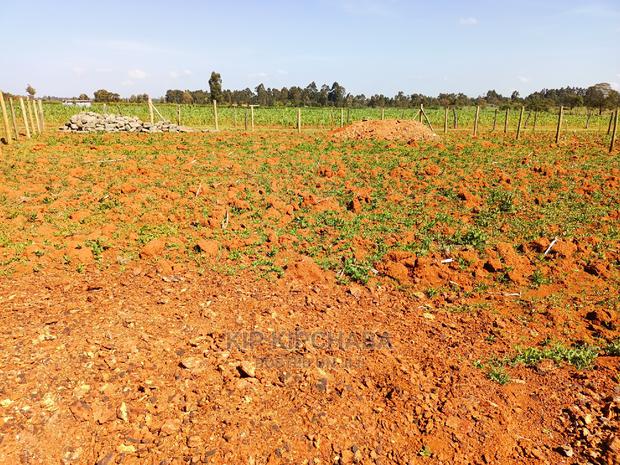 1⁄4 Plot for Sale in Chepkanga Lelit Eldoret - thumbnail 4