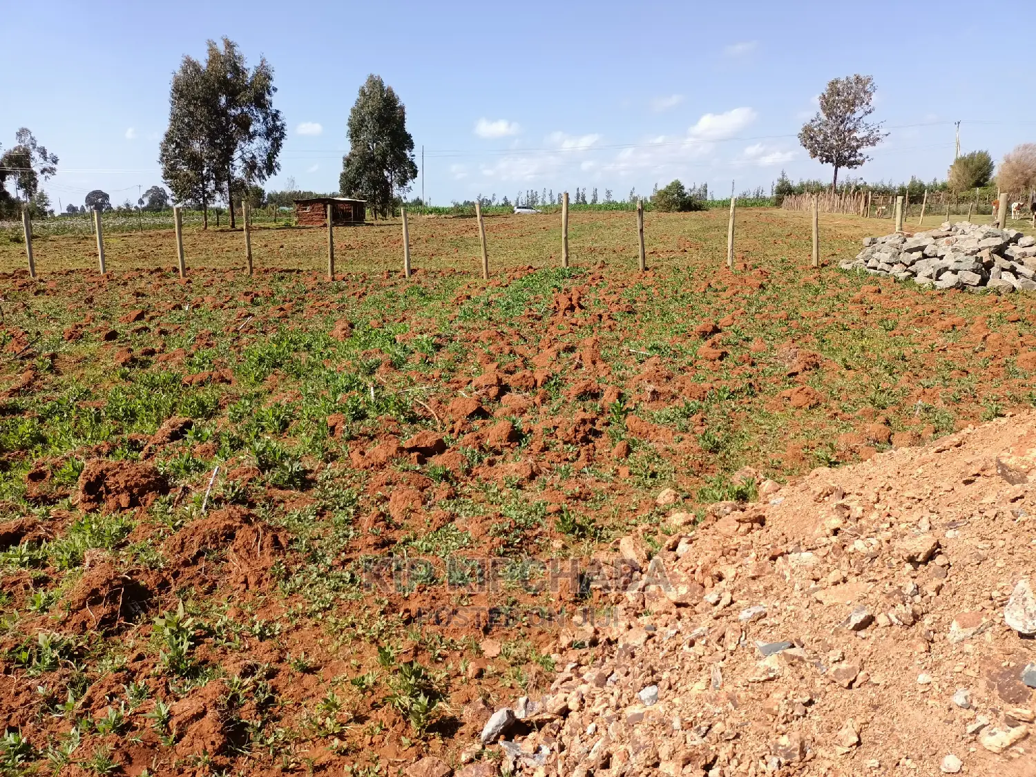 1⁄4 Plot for Sale in Chepkanga Lelit Eldoret