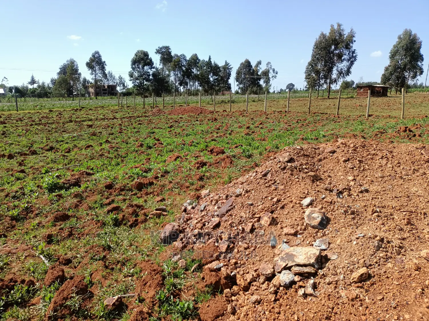 1⁄4 Plot for Sale in Chepkanga Lelit Eldoret