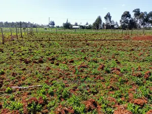 1⁄4 Plot for Sale in Chepkanga Lelit Eldoret