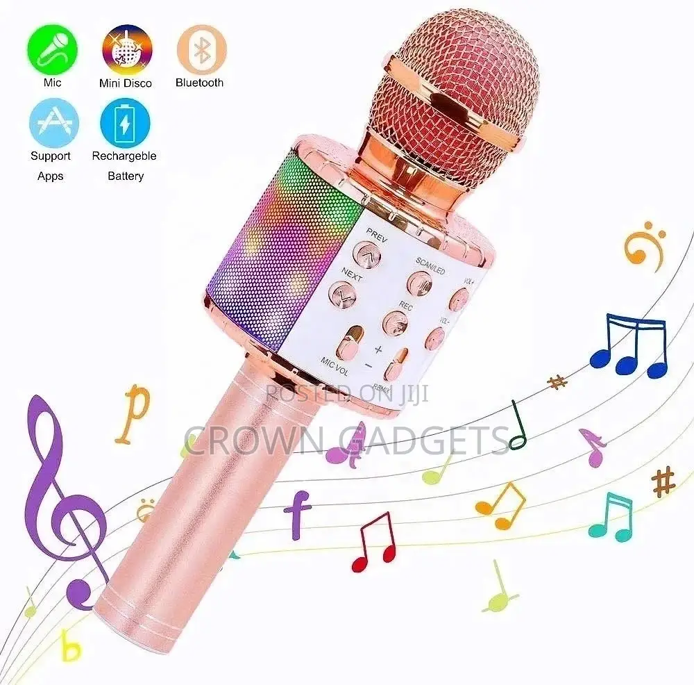 Karaoke Microphone Bluetooth Wireless for Teens
