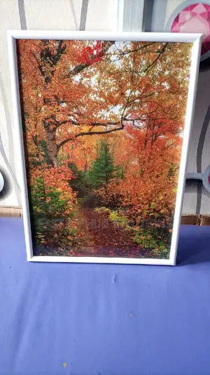 Nature in HD Framed. Classic Photo Frames Imports