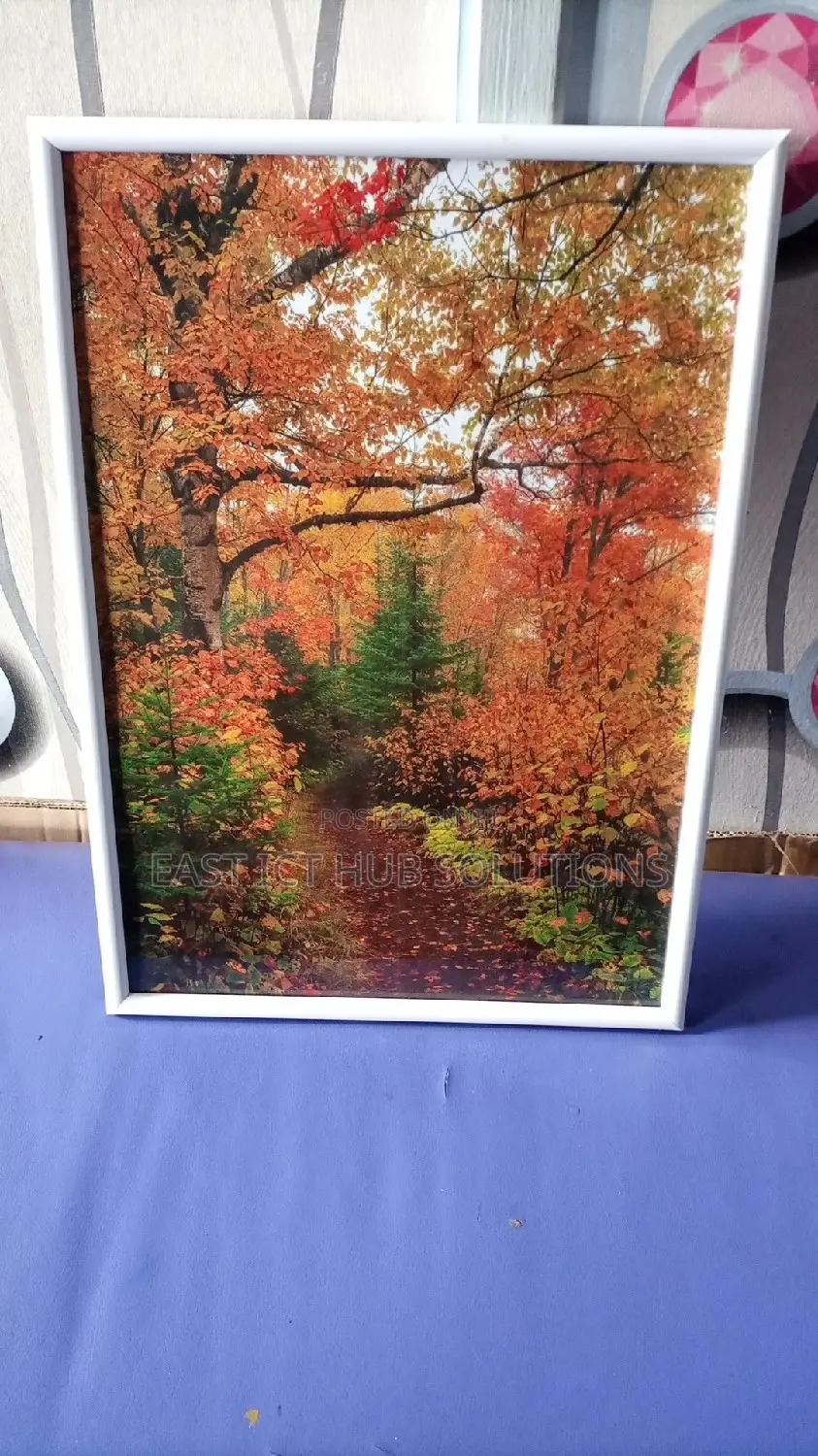 Nature in HD Framed. Classic Photo Frames Imports