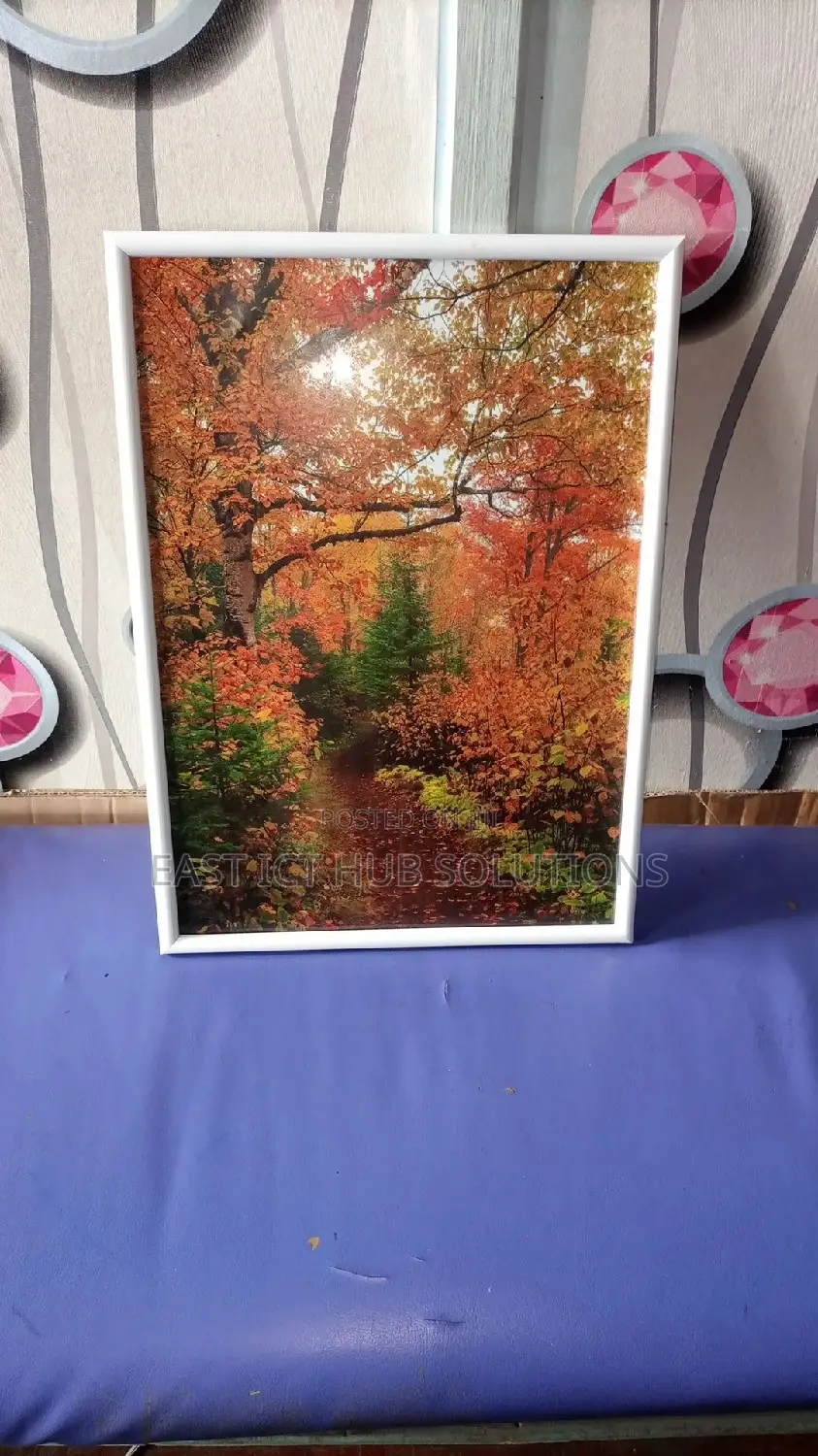 Nature in HD Framed. Classic Photo Frames Imports