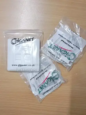 Dual Giganet Faceplate and Modules