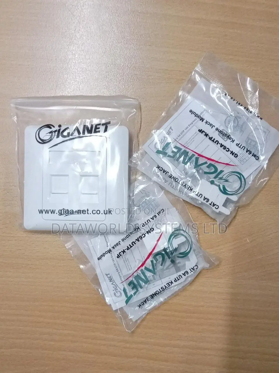 Dual Giganet Faceplate and Modules