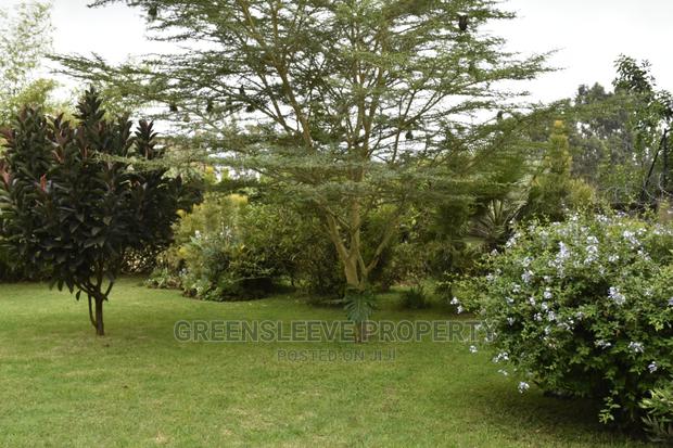 4bdrm Townhouse / Terrace in Hardy for rent - thumbnail 5