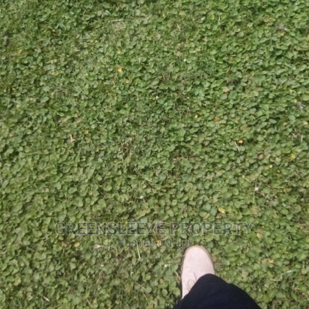 4bdrm Bungalow in Hardy for Rent - thumbnail 17