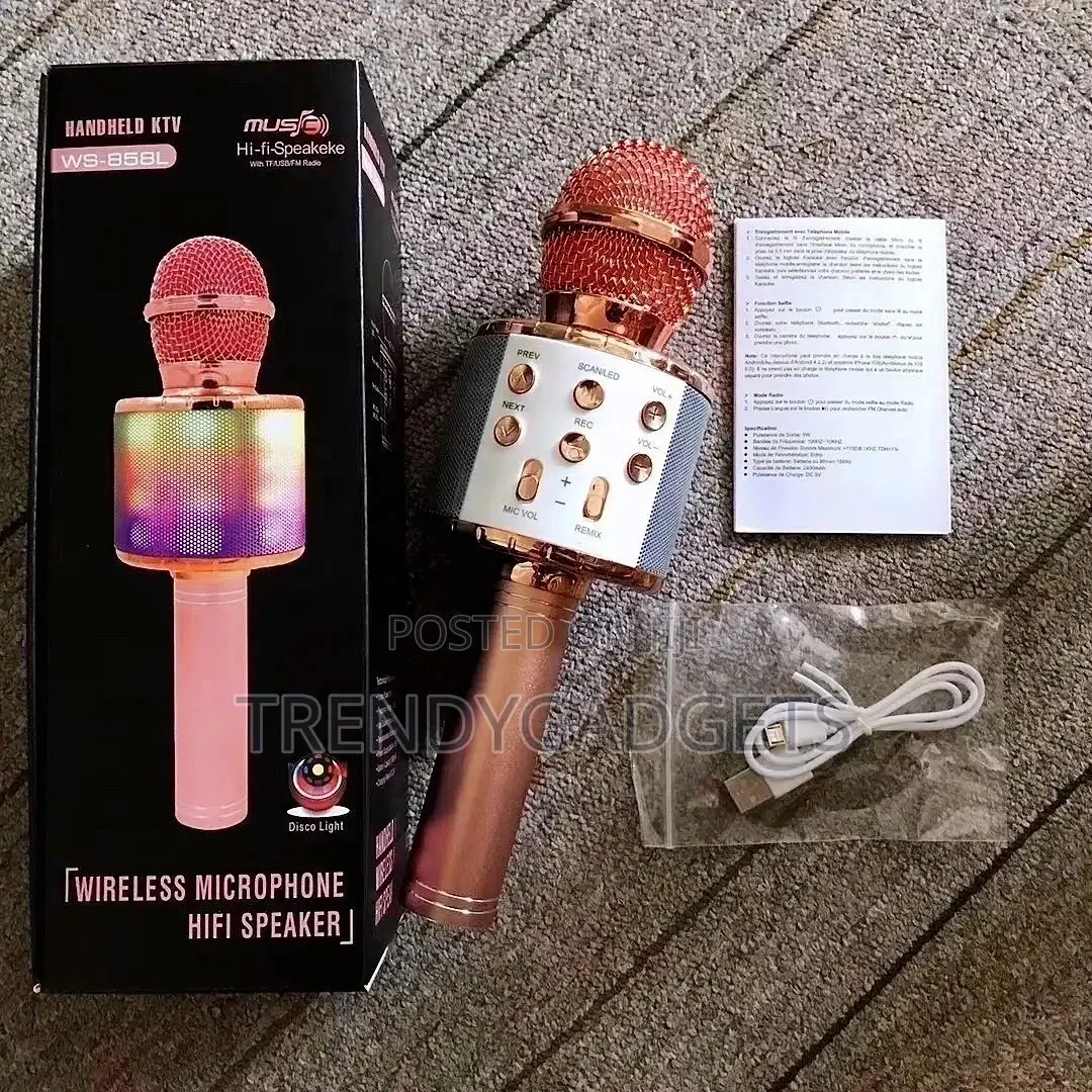 HIGH COMPATIBILITY Karaokee Mic