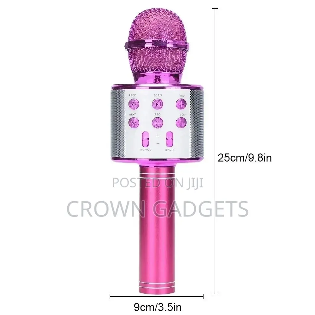 Karaokee Mic With Echo and Voice Changer Effect