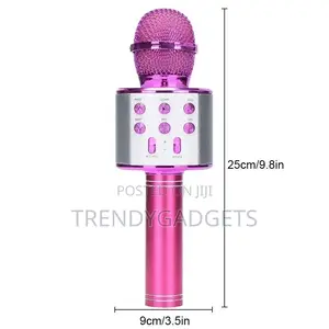 Karaokee Mic With Echo and Voice Changer Effect