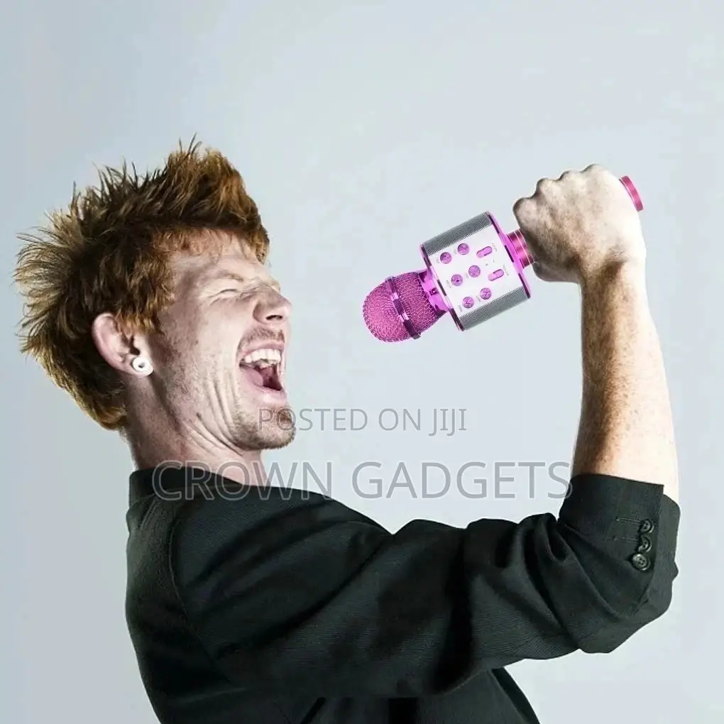 Stylish and Classic Karaoke Microphone