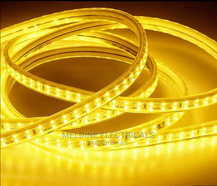 Warm Snake Light/ Rope Light