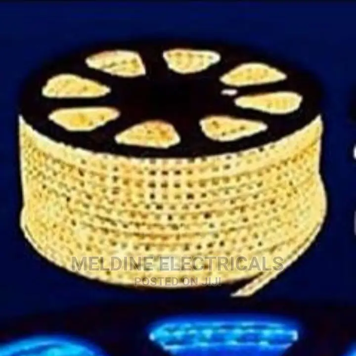 Warm Snake Light/ Rope Light