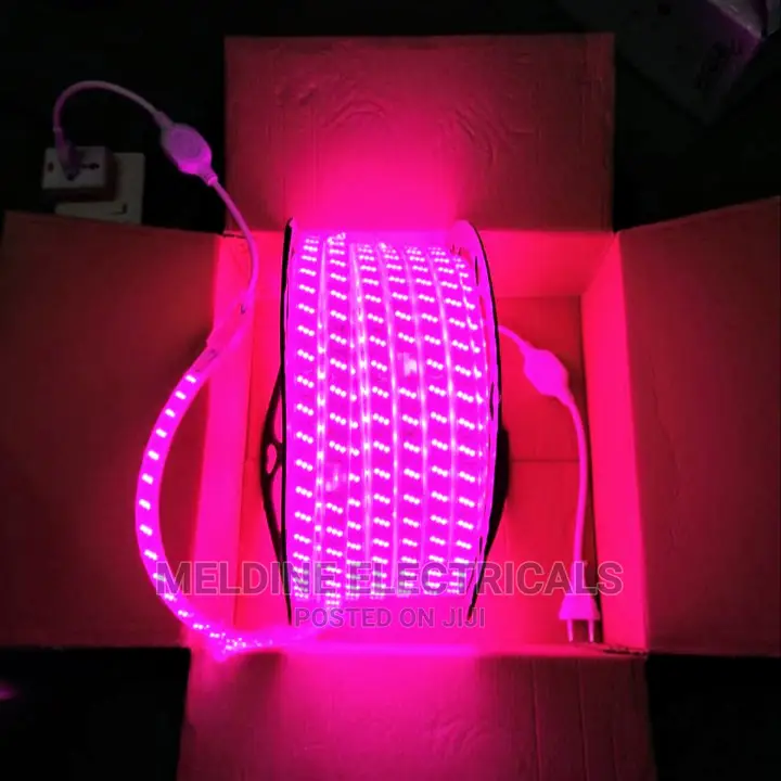 Snake Light /Rope Light