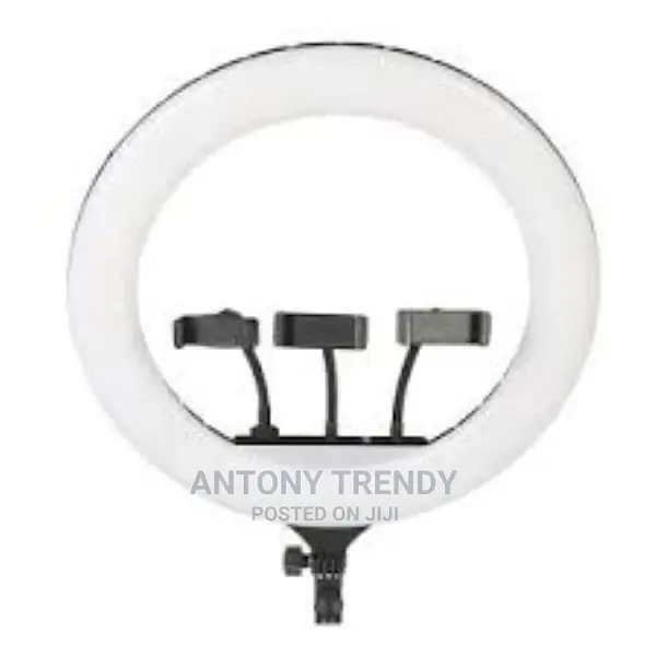 RL18 LED Ring Light With Phone Holder and 1.8M Tripod St