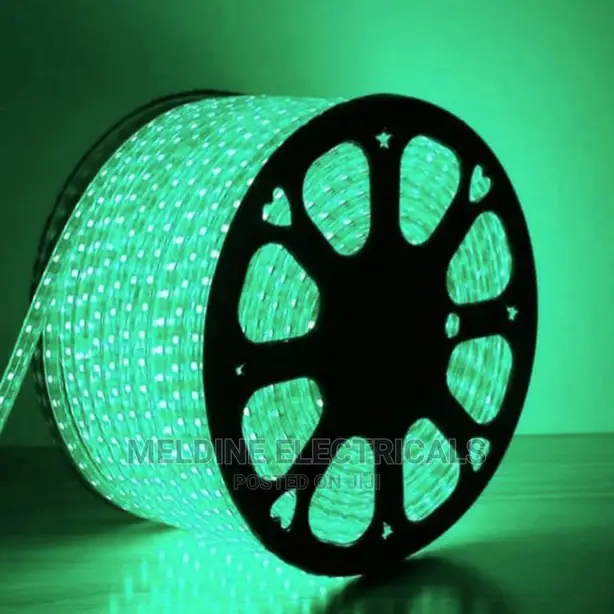 Double Line Snake Light/Rope Light