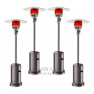 Gas Patio Heater*Gas Patio Heater