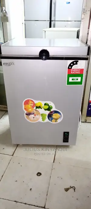 Mini Freezer 109L