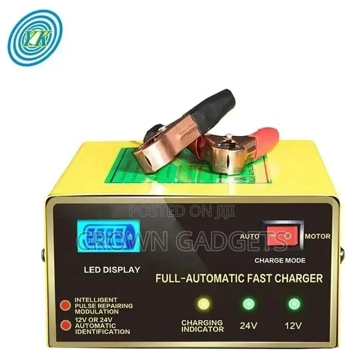 Quick Boost Electric Car 200ah Dc 12v/24 10A Battery Charger