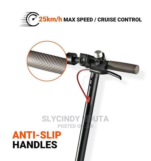 Anti Slip Handles - main view