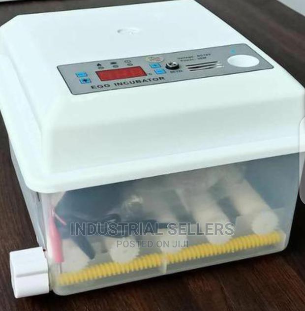New Arrival 56 Egg Incubator Machine - main view