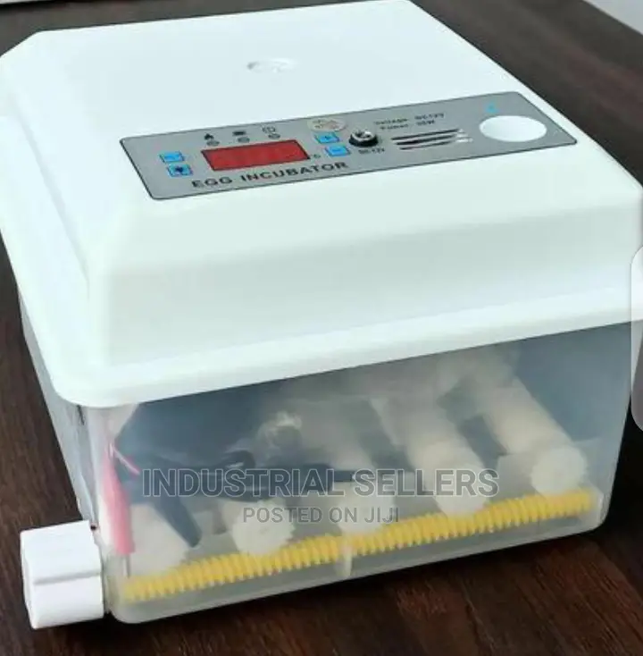 New Arrival 56 Egg Incubator Machine