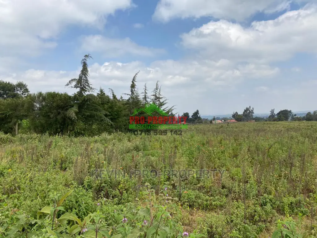 Prime Plot for Sale in Limuru, Kamirithu.