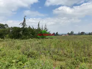 Prime Plot for Sale in Limuru, Kamirithu.