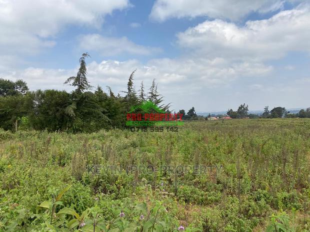 Prime Plot for Sale in Limuru, Kamirithu. - thumbnail 4