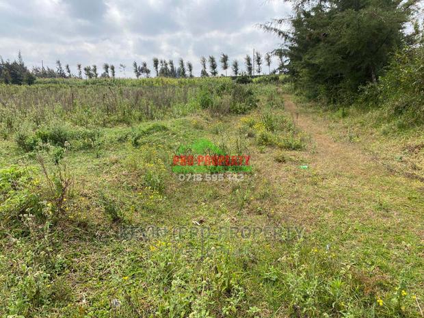 Prime Plot for Sale in Limuru, Kamirithu. - thumbnail 9