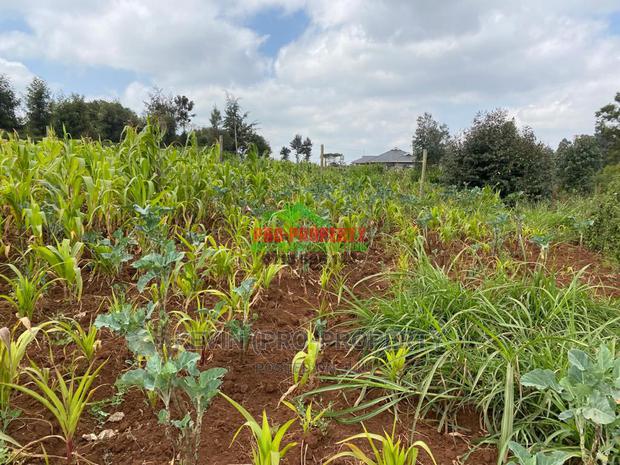 Prime Plot for Sale in Limuru, Kamirithu. - thumbnail 12