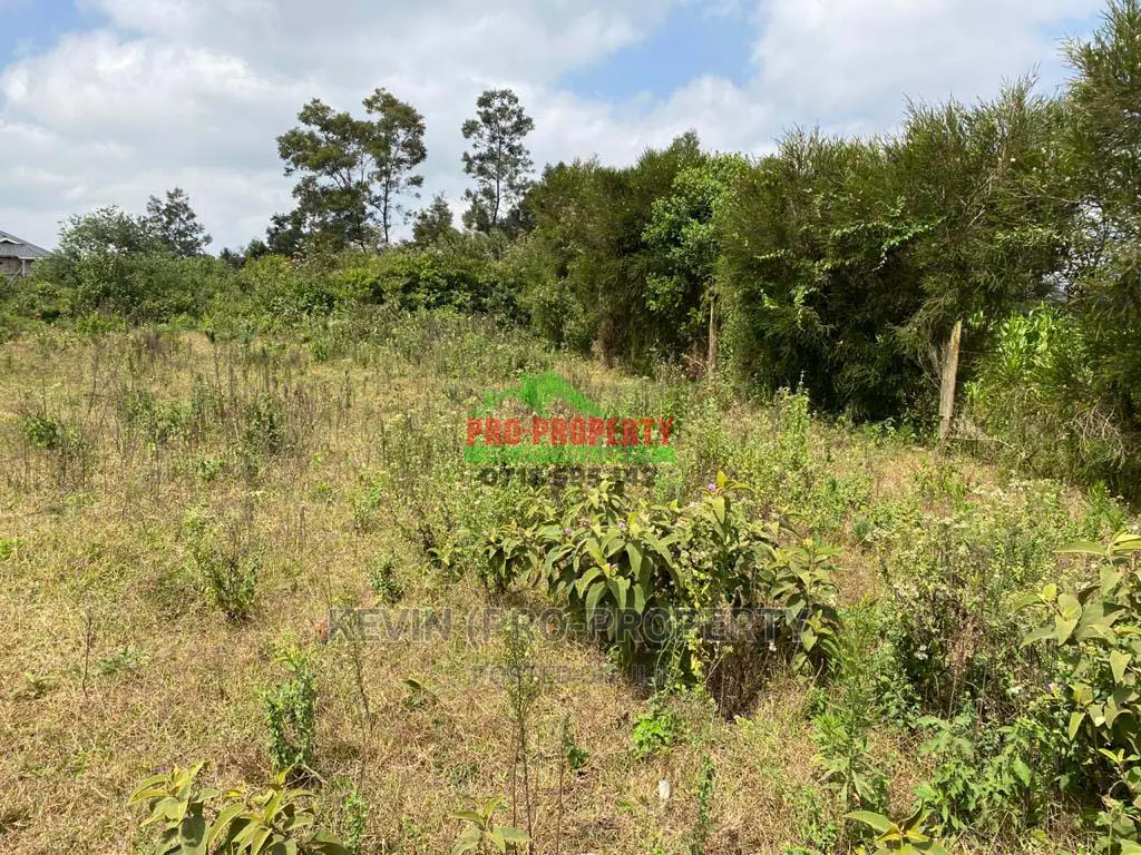 Prime Plot for Sale in Limuru, Kamirithu.