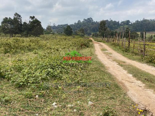 Prime Plot for Sale in Limuru, Kamirithu. - thumbnail 14