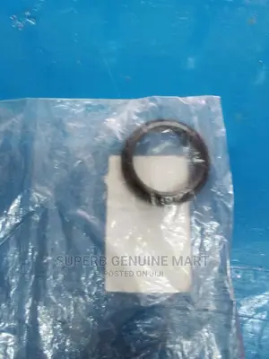 Rear Tail Housing Seal